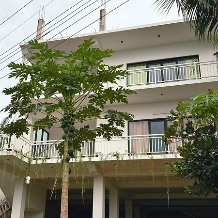 Calma - Surf, Yoga & Coffee On A Private Beach Dikwella Exterior foto
