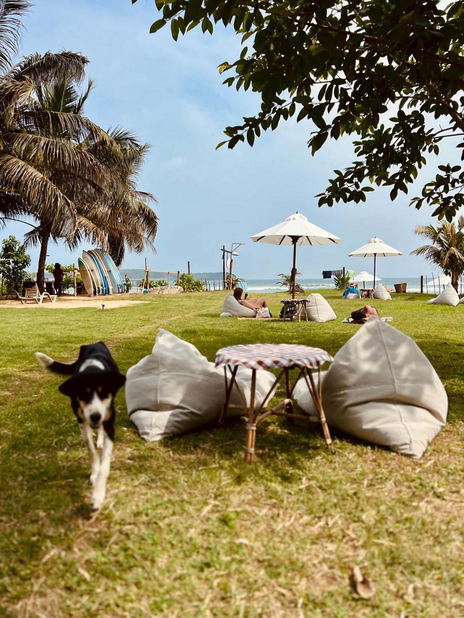 Calma - Surf, Yoga & Coffee On A Private Beach Dikwella Exterior foto