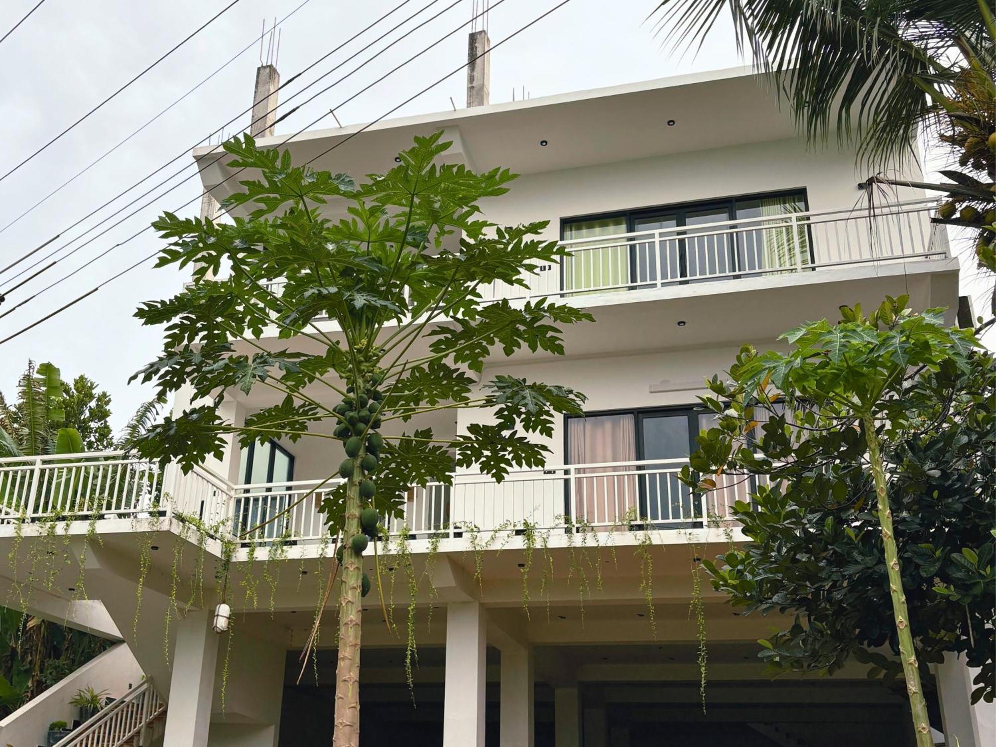Calma - Surf, Yoga & Coffee On A Private Beach Dikwella Exterior foto