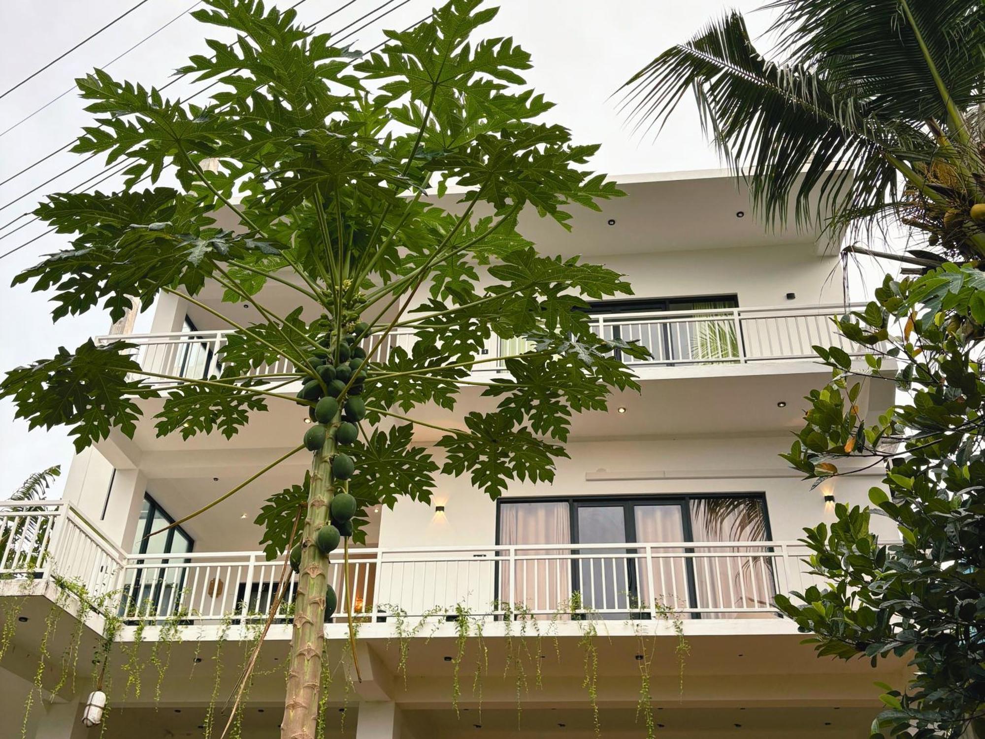 Calma - Surf, Yoga & Coffee On A Private Beach Dikwella Exterior foto